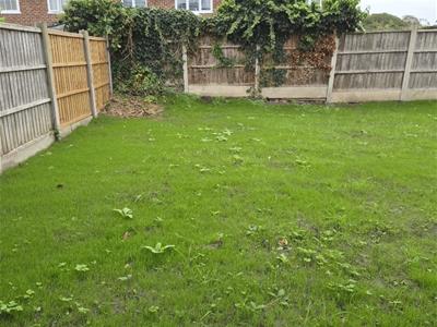 Picture 15